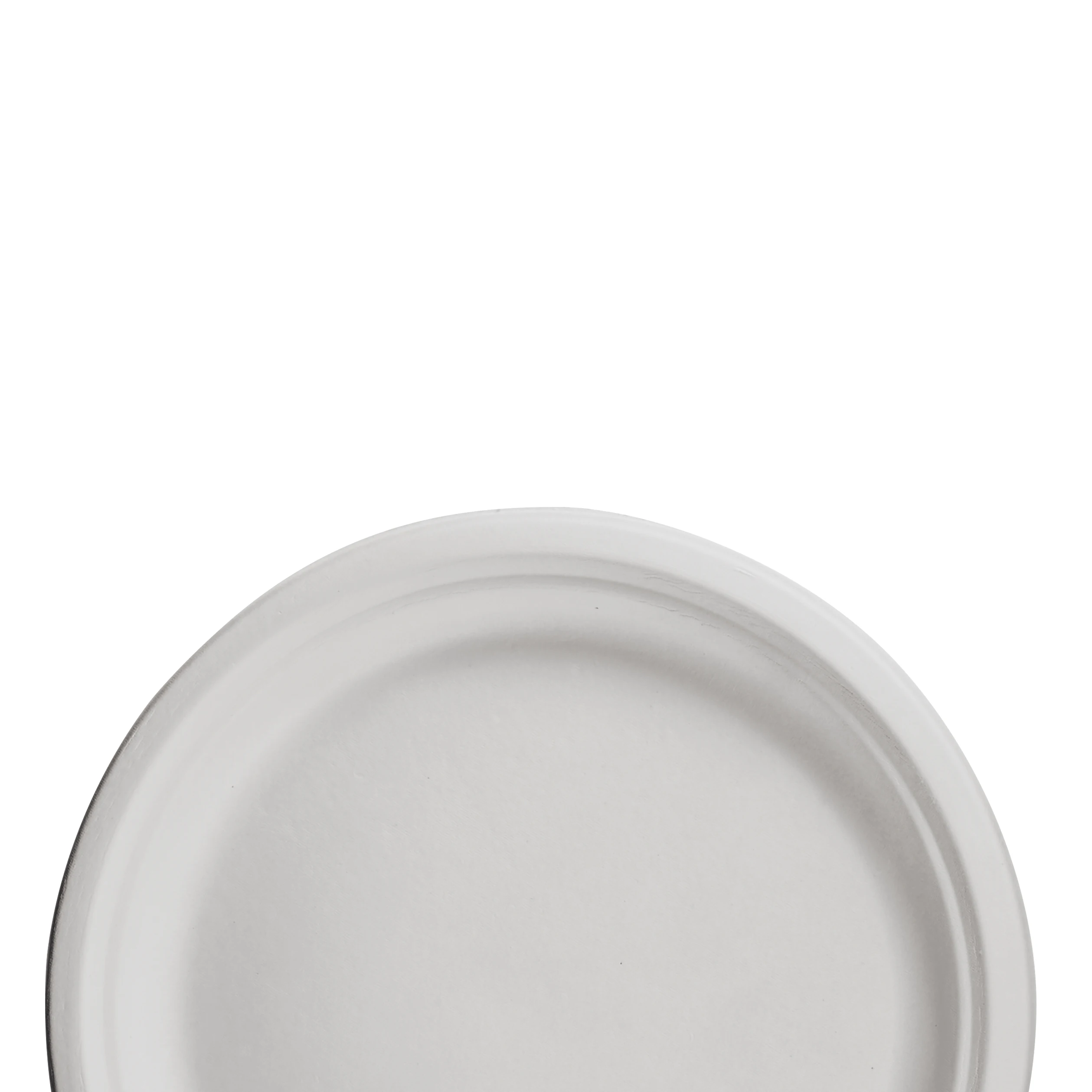 PFAS-free   Big Round Paper Compostable Paper  Custom Paper Plates Disposable