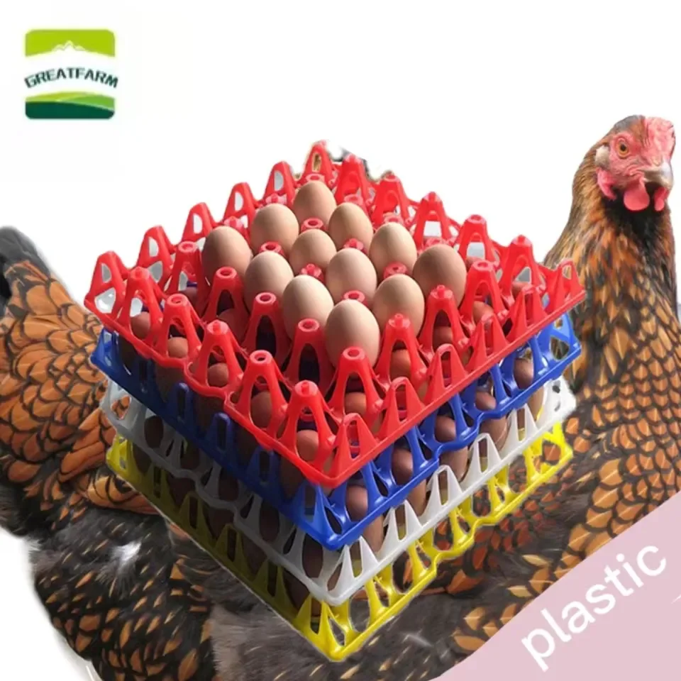additive quality plastic white green strong 30pcs egg tray for farm poultry