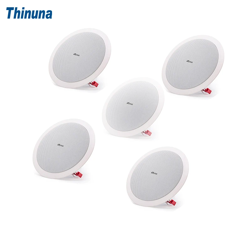 Thinuna TS-8L II Высокое качество постоянный импеданс 8-дюймовые коаксиальные потолочные колонки 80 Вт 8 Ом в год для торговых центров