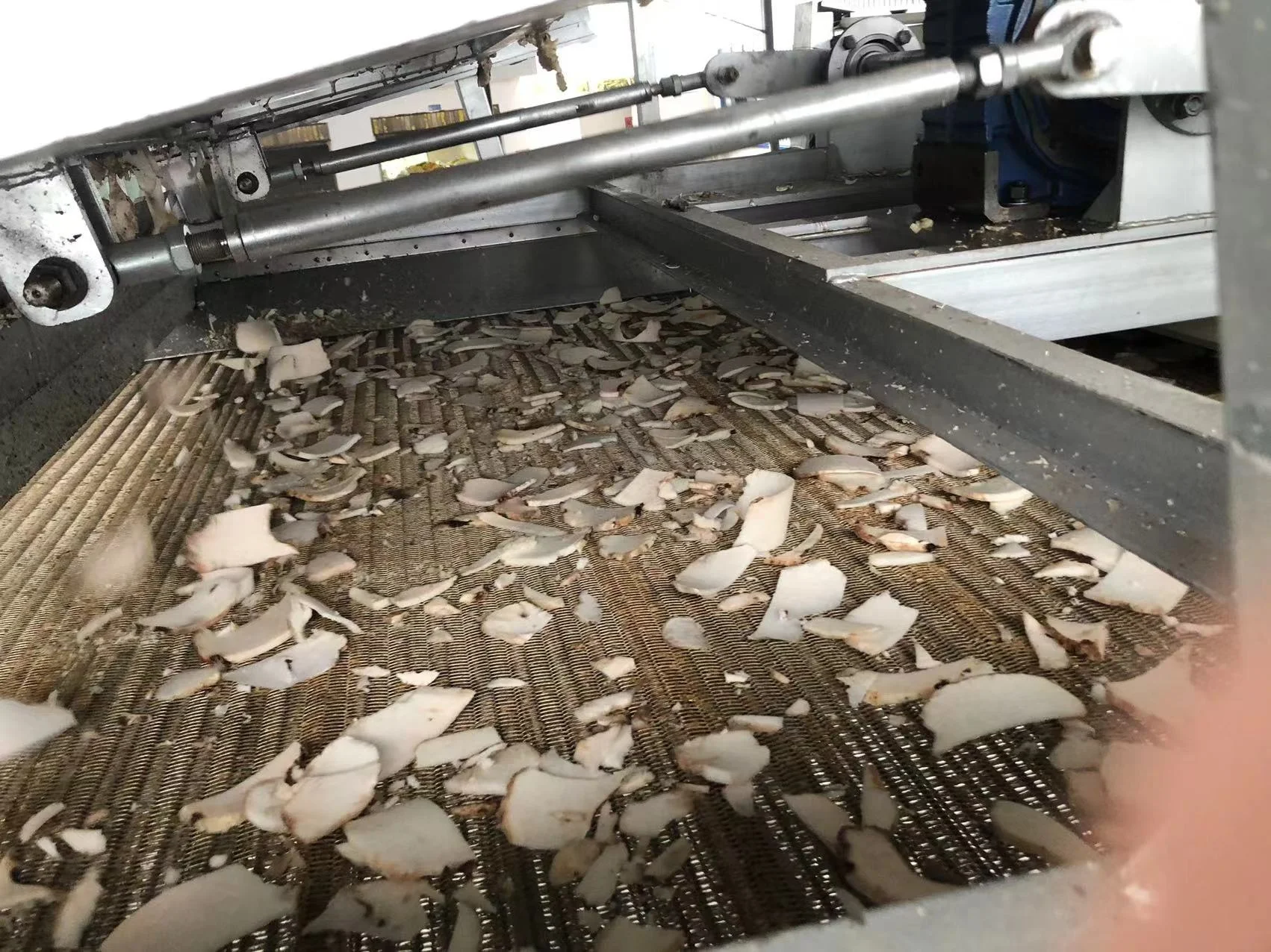 Сушильная машина porang konjac 30 тонн/24 часа с газовой плитой для струйных чипов konjac, обработка порошка konjac