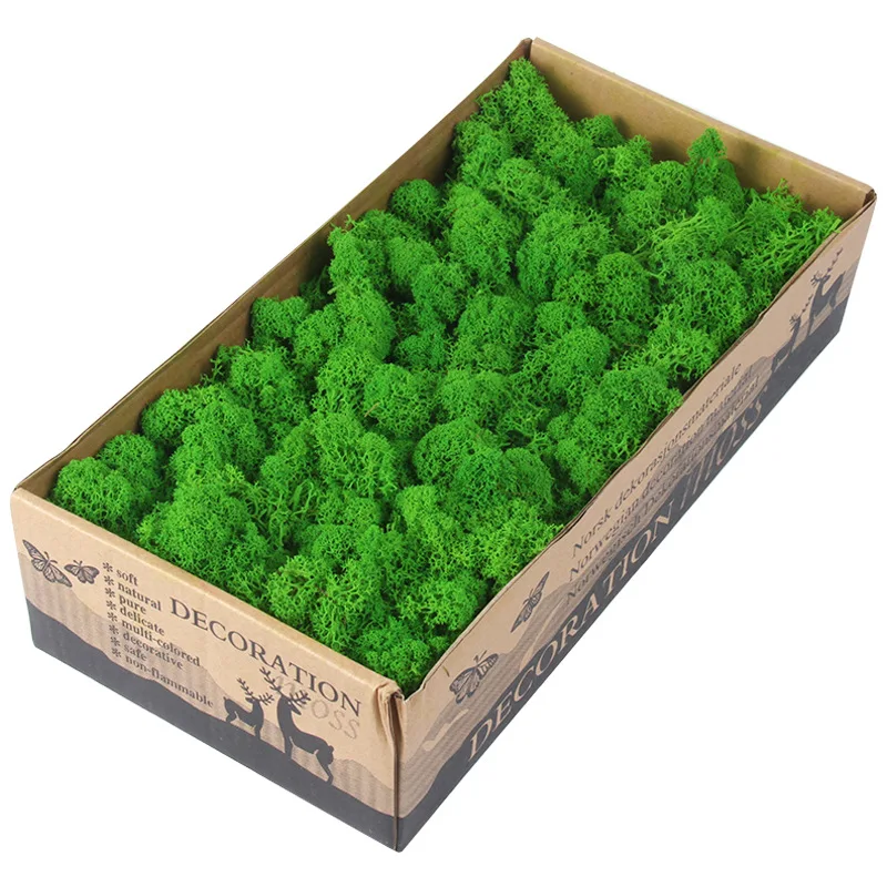 Wholesale Real Natural Green Preserved Reindeer Moss 500 G Per Box musgo estabilizado