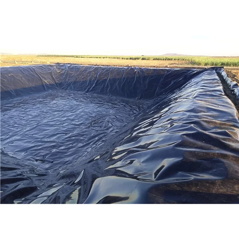 Geomembrane Hdpe 1.5mm Gm13 Standard 0.5mm Black Liner Dam for Fish Farming Aquaculture tank Agricultural ponds