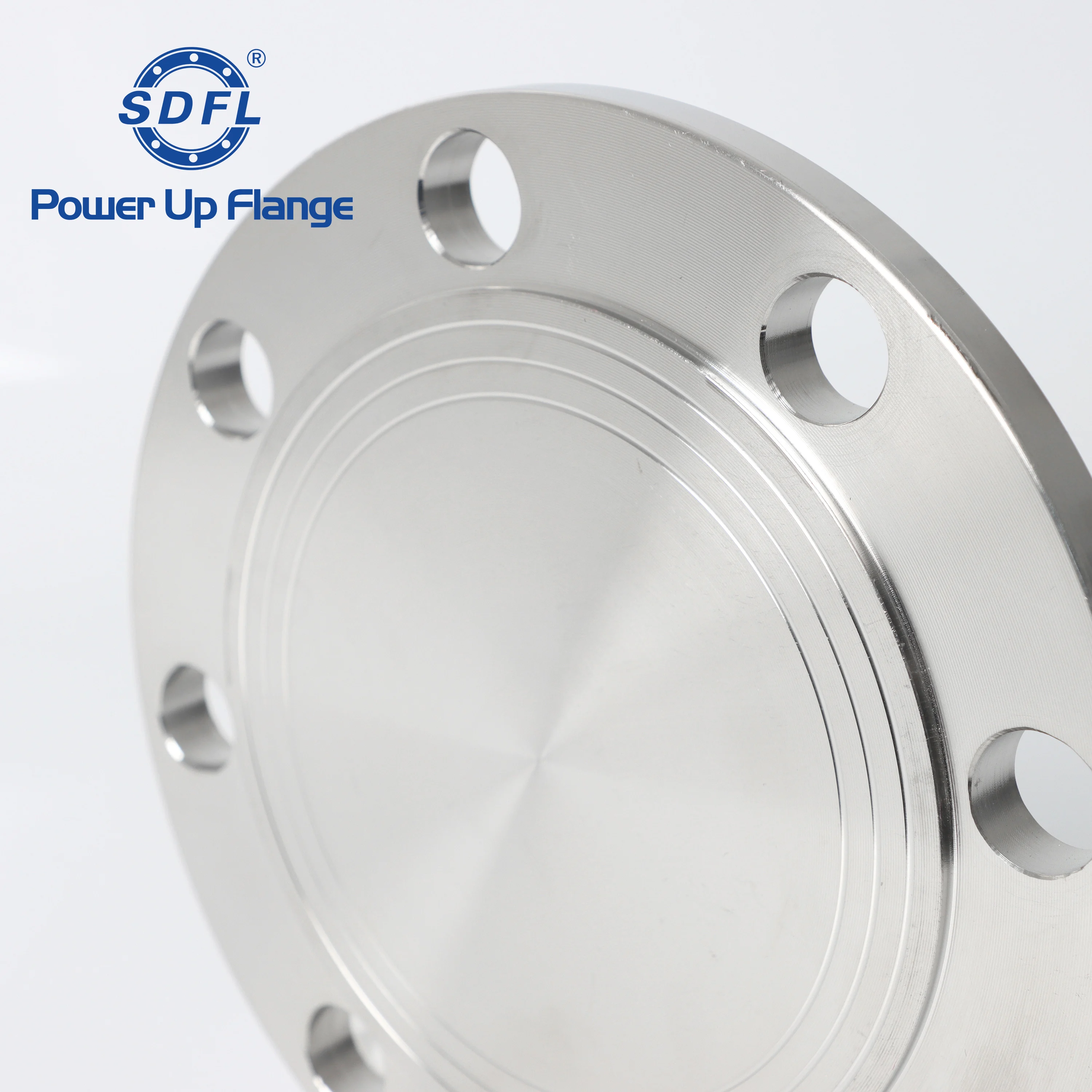 JIS 10K Raised Face Flange Cover 316 Stainless Steel Blind Flange