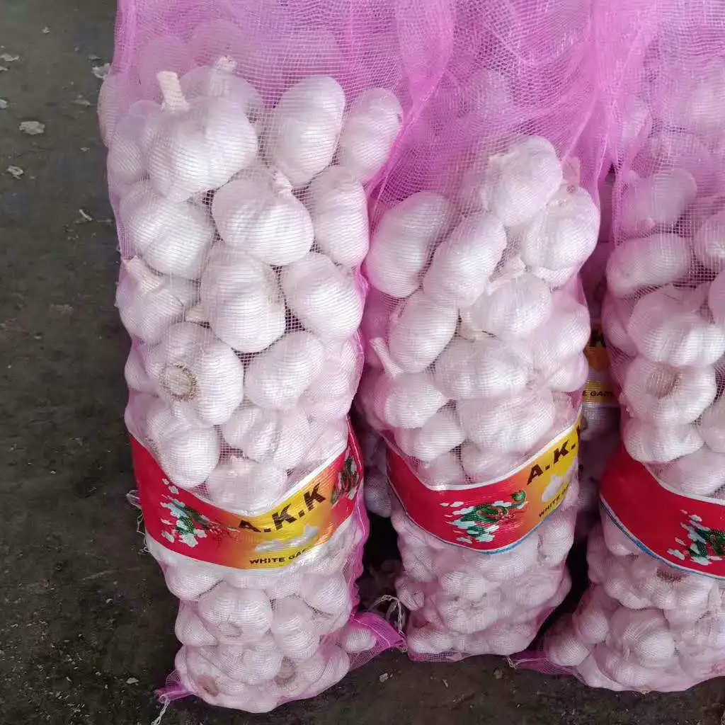 5CM ABOVE SIZE CHINA GARLIC IN 10KG CARTON 10KG MESH BAG EXPORT ASIA STANDARD