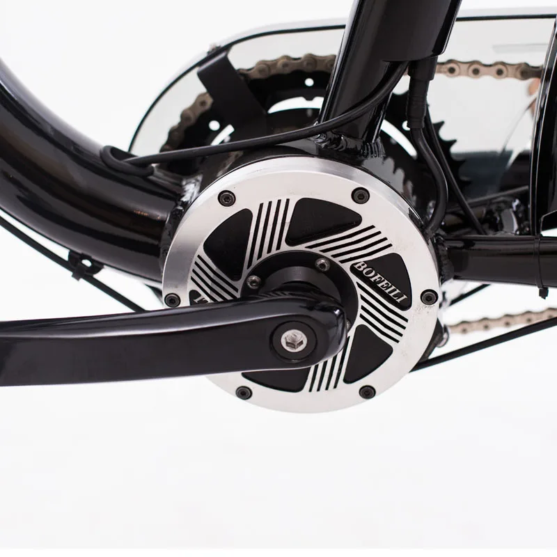 Alienozo e bike electric bicycle china with central motor