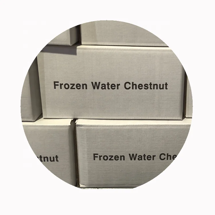 Frozen Whole Peeled Water Chestnuts Watercress Crunchy Sweet Crispy Chopped Organic Fruit IQF Best Sliced Chinese Vegetable Food