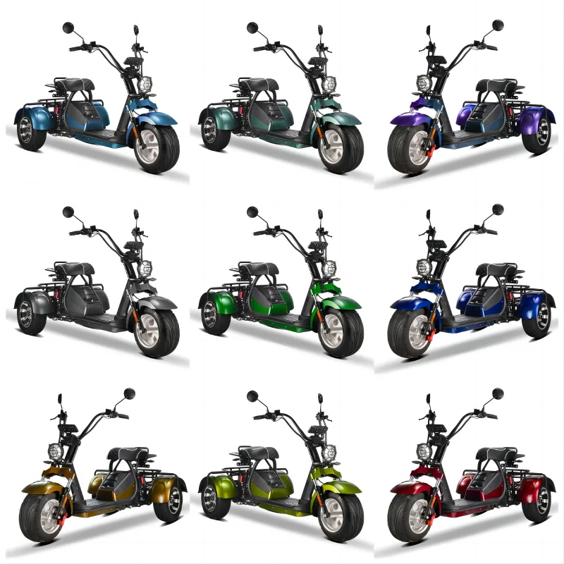 Electric Scooter Electric Tricycles for Adults Cargo Rickshaw with 3 Wheels Passenger Use Electric Motorcycle