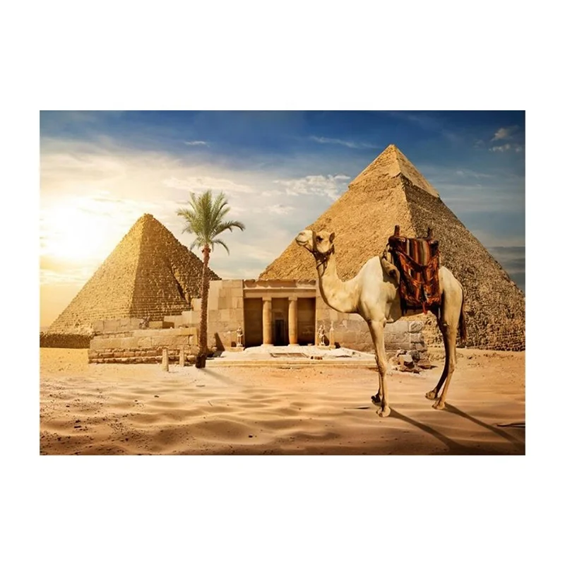 
Wholesale 5D DIY Diamond Painting Animals desert camel Panoramic Diamond Embroidery Mosaic Diamond Decoration Home Handicraft 