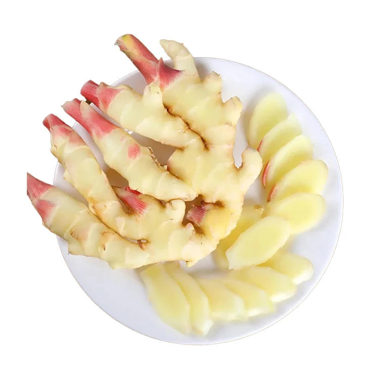 Good Quality China Importers Market Price Fresh Vegetable Ginger Fresh Ginger