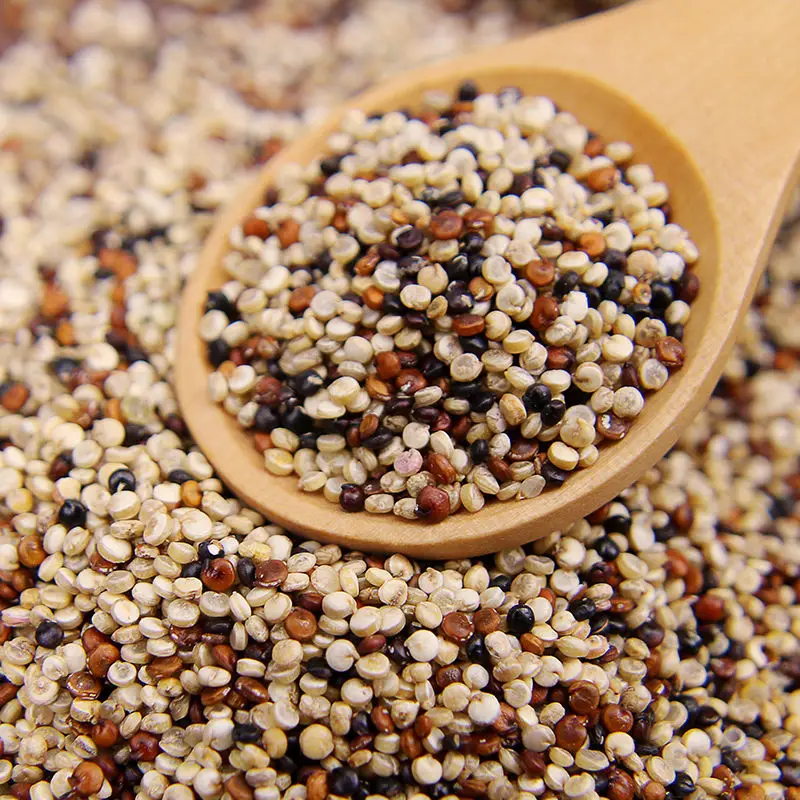 Factory Price Bulk Sale Good Quality Best Quality Quinoa Tricolour Mix Seeds For Wholesale Purchase