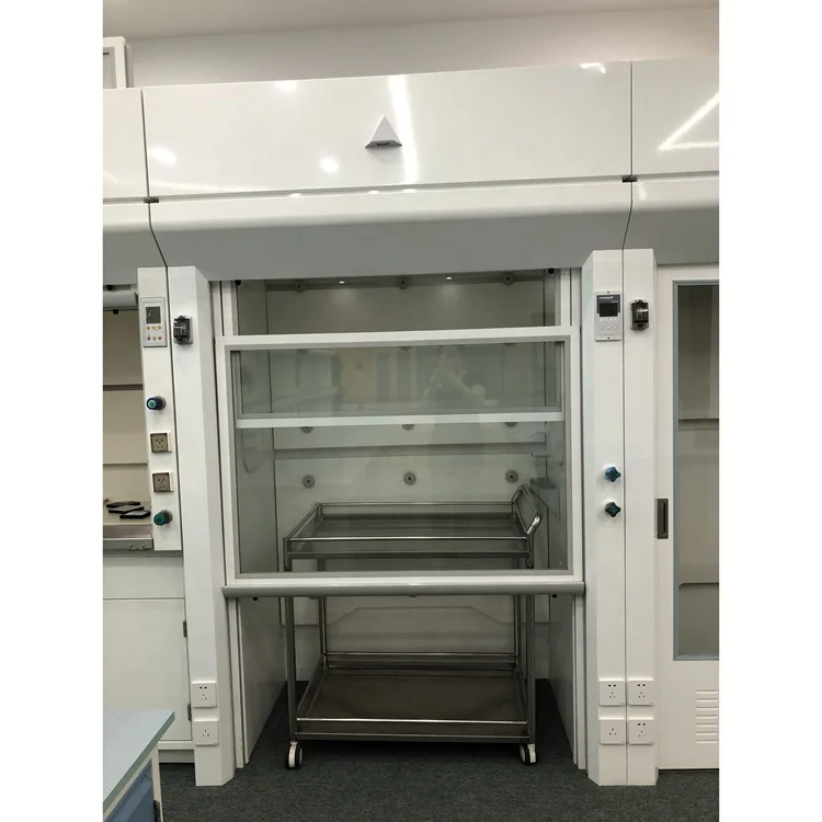 Chinese lab furniture fumehood acid resistant walk in fume hood