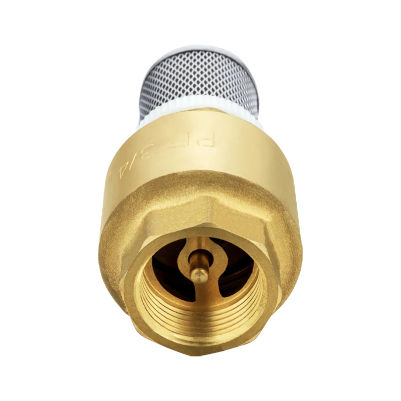 TMOK Sourcing Factory Plastic Strainer Filter Brass Spring Foot Valve Check Valve for Water Pump