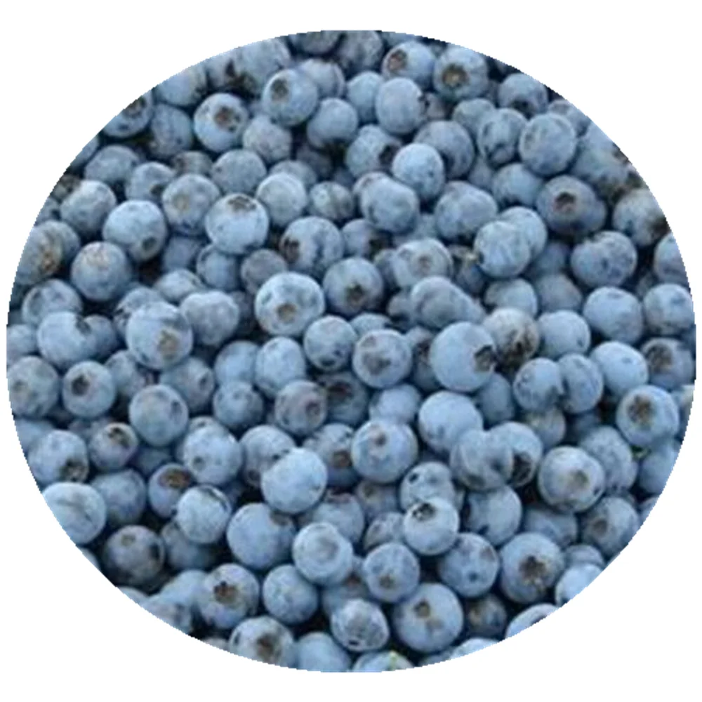 
Iqf frozen fruit frozen blueberry 