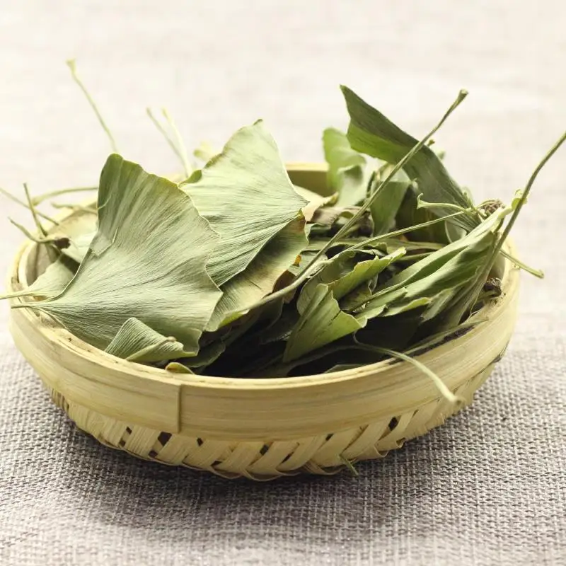 Высокое качество оптовая продажа экстракт листьев гинкго билоба L. leaf herbal tea сухой сырье