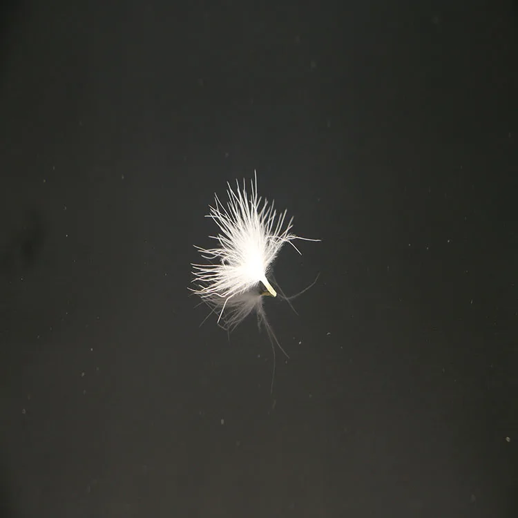 
Wholesale Soft Bulk High Quality 5% White duck Down Feather For Quilts, Pillows, Cushions 