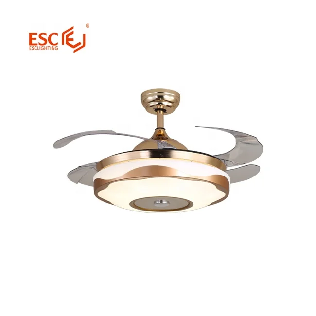 OEM ODM invisible 42 inch ceiling fan fancy modern luxury led ceiling fan with light and speaker