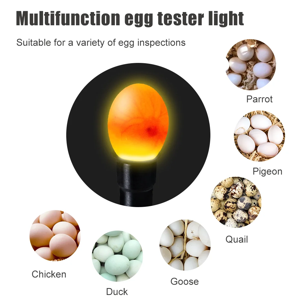 Incubator Egg Tester Candling Lamp LED Light Super Cold Incubation Equipment Chicken Tool Pocket Poultry Egg Lamp Incubator
