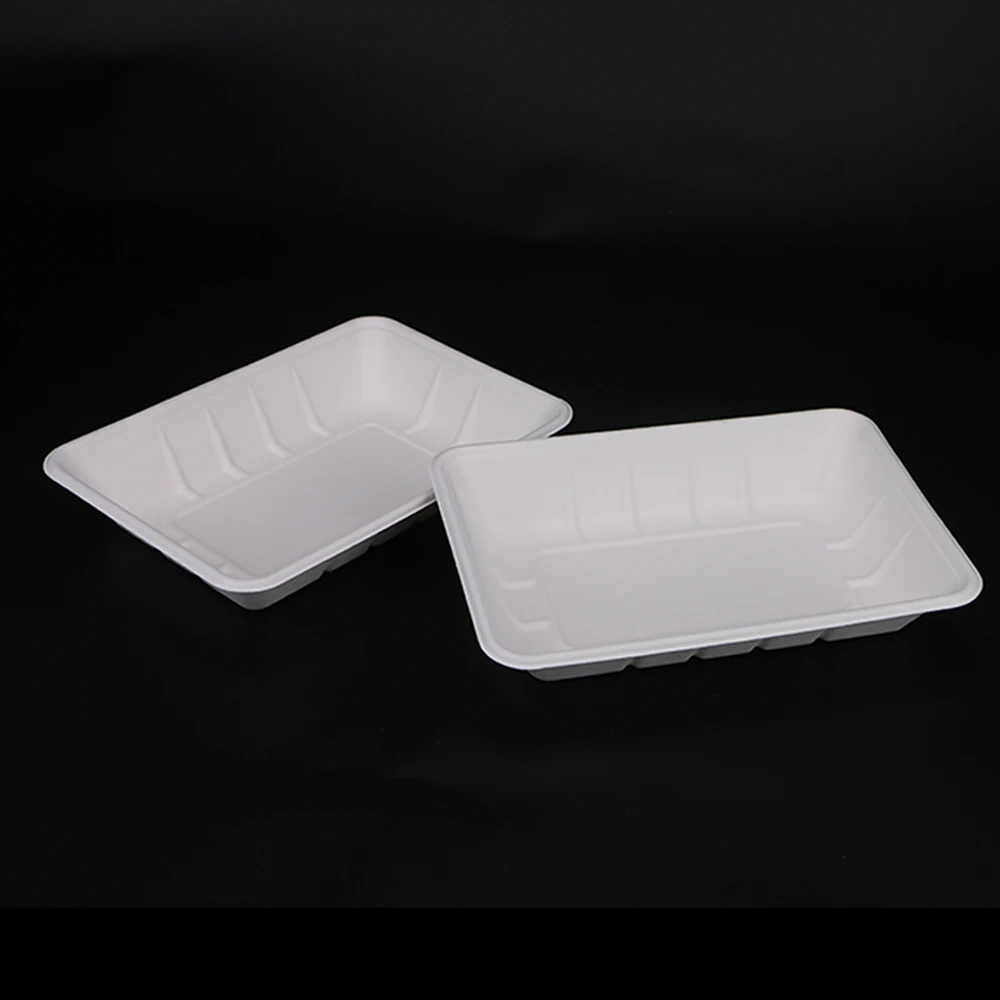 Compostable Rectangular Bagasse Sugarcane Pulp Tray