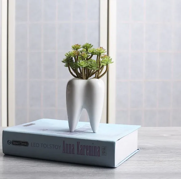 ceramic teeth shape flower pot for dentistry bonsai pot tooth planter white ceramic succulent planter pots modern home decor