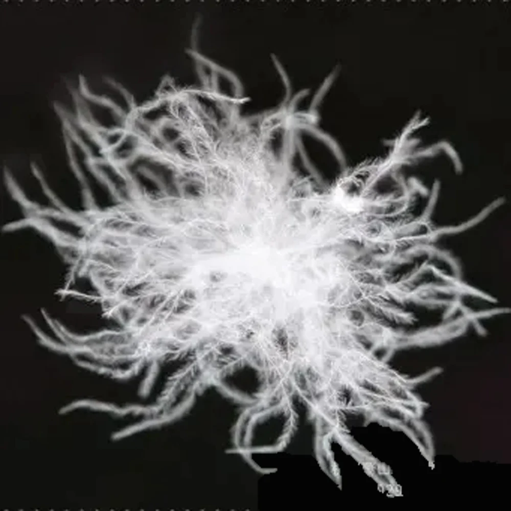 Новый белый гусиный пух с 60/40 перьями, хорошо отбеливаемый