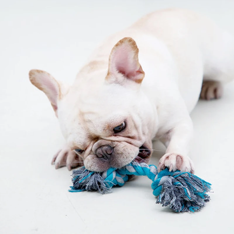 dog toys Healthy Plush Giant Big Eyes Plush Dog Tooth Brush Toy Farm Animal Cartoon