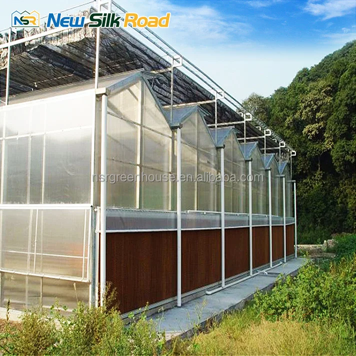 steel and glass houses solar greenhouse 4 layer polycarbonate agriculture outdoor green houses greenhouse for agro