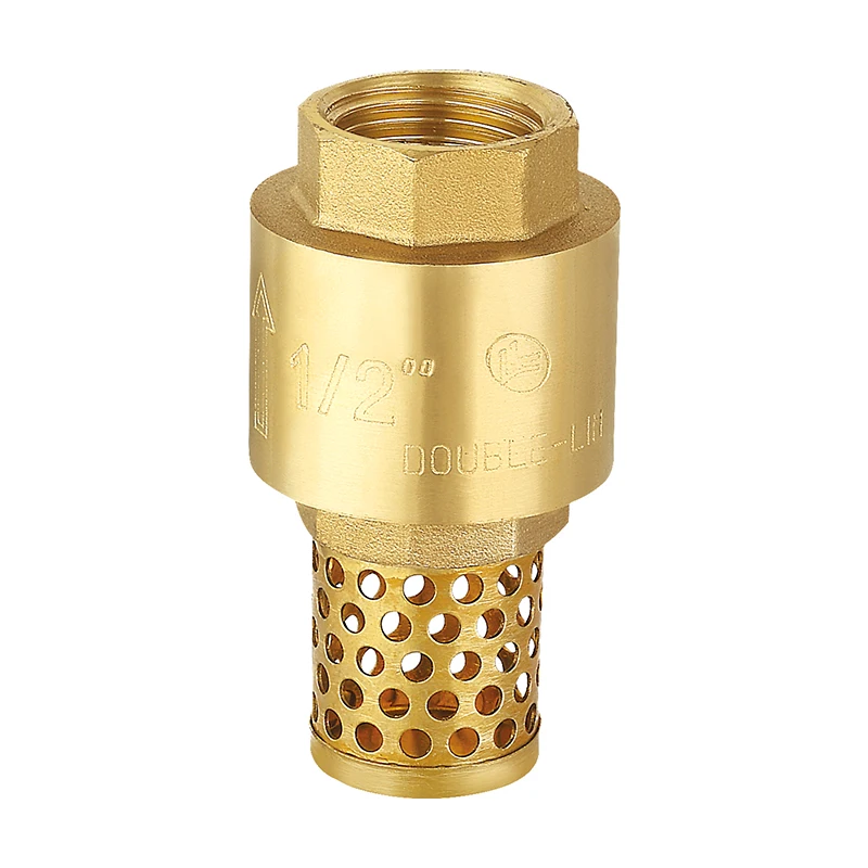 Stainless Steel Spring Female 16 Bar 4 Inch Brass Foot Valve