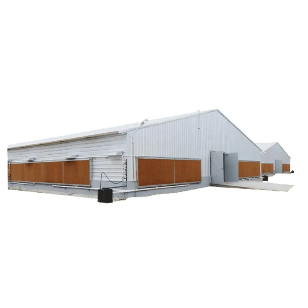 building chicken house poultry farm construction
