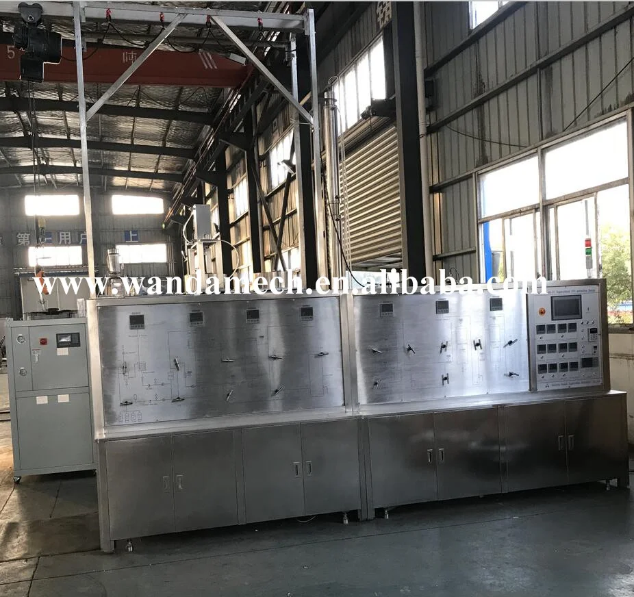 Professional Manufacturer Supercritical CO2 Extraction Machine High Purity Herbal Essential Oil Extractor For Sale