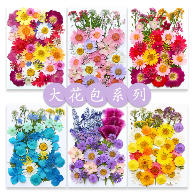 Hot Sale DIY Art Crafts Various Dried Pressed Flower Kits for Scrapbooking Epoxy Resin Jewelry Molds Candle Soap Making