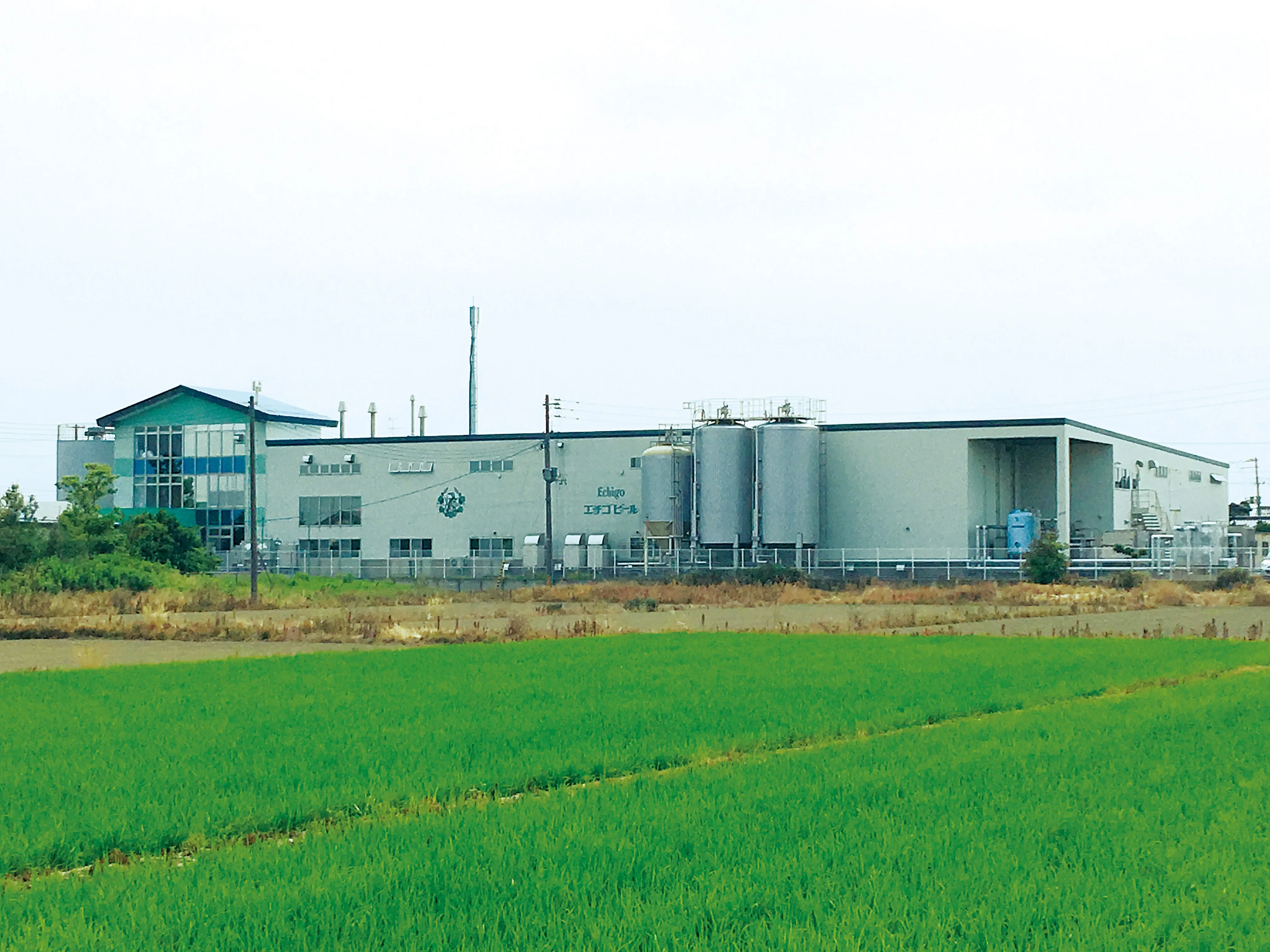 Brewer 20L Keg Barley Malt Brewing Craft Beer Products