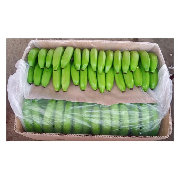 Экспорт свежих фруктов бананов премиум класса-высокое качество, Лучшая цена, непосредственно от производителей в Мексике