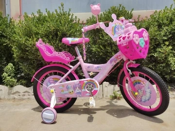 2024 wholesales new mini cycle 12 14 16 20 inch pedal exercise music Bike with training wheel for kids girls boys baby supplier