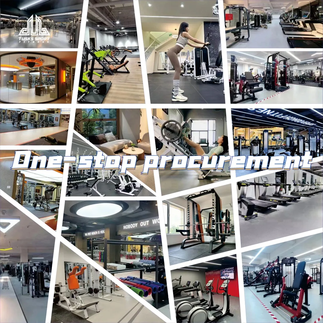 Multi-Functional Gym Equipment Foldable Abdominal Trainer for AB Exercises Pin Load Selection Machines