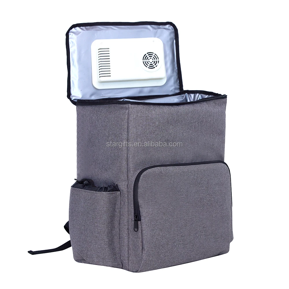 USA UK New Soft-Sided Portable Car Fridge Thermoelectric Iceless Electric Mini 12V Cooler Bag for Travel Trucking Road Trip
