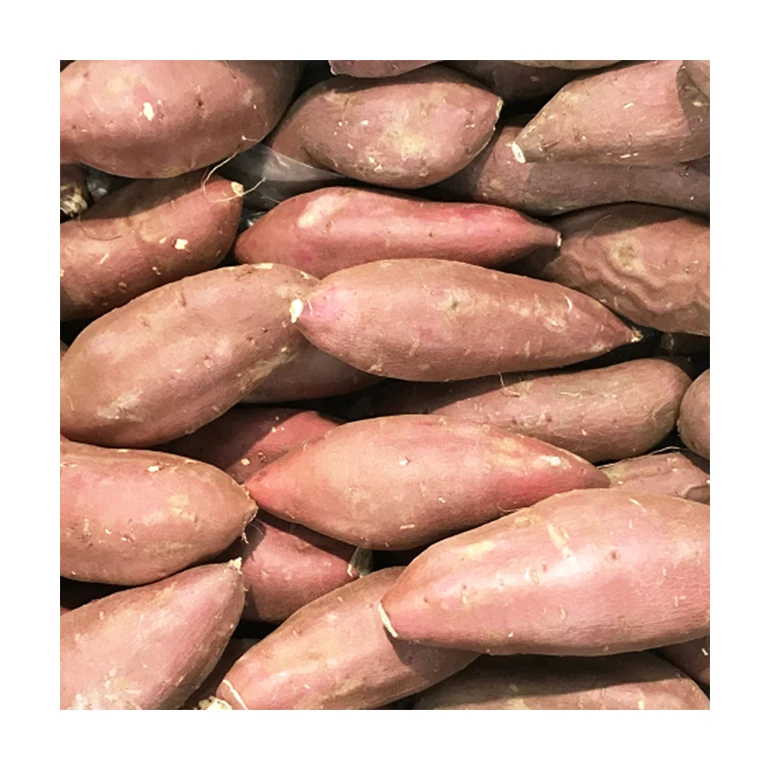 Японская Оптовая вкусная упаковка другие овощи свежие