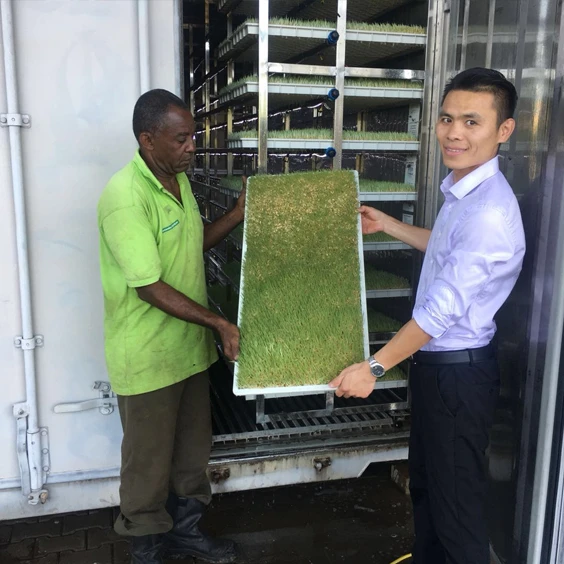 40 HQ гидропонная кормовая система контейнер для фермерских гидропонных систем выращивания корма