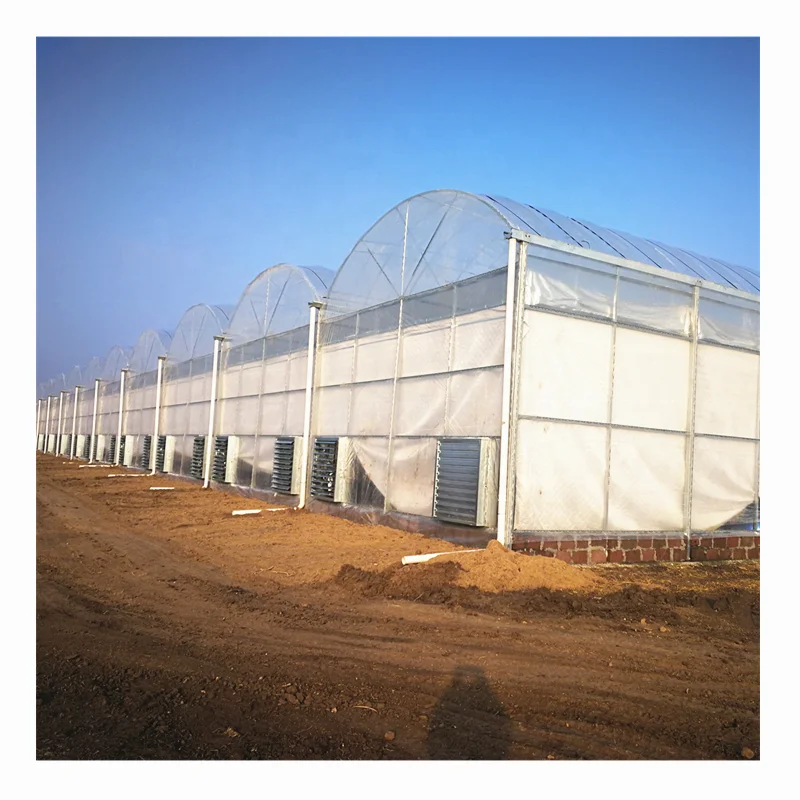 
PVC Farm Hydroponic Grow Systems for Agricultural Tomato/Salad/Strawberry Greenhouse 