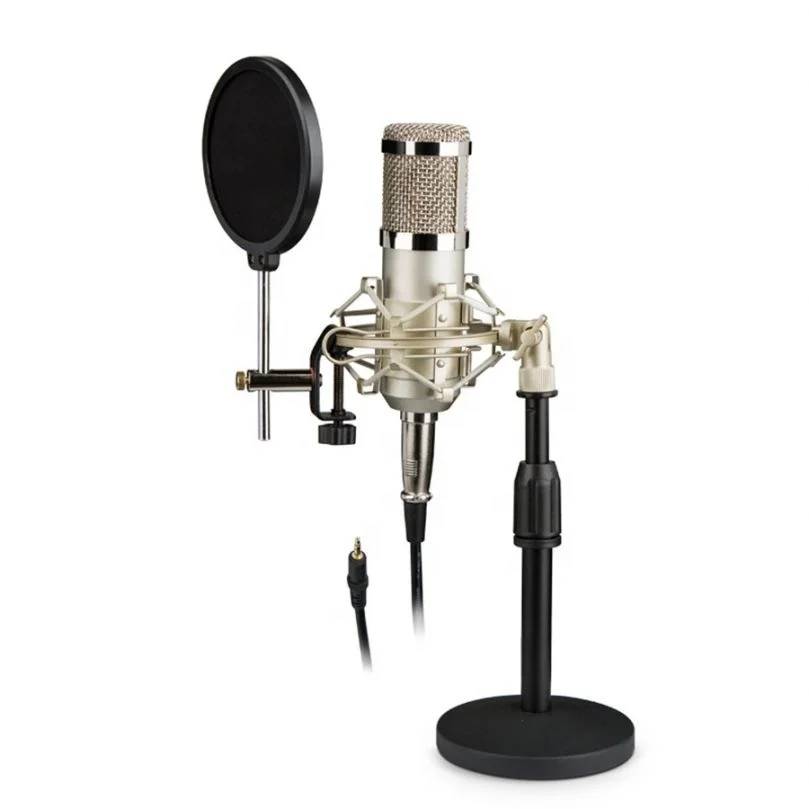 Low Price Broadcasting Microphone For Studio Recording With Stand Kit
