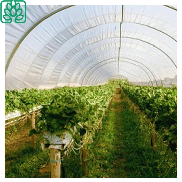 China Large Size Low Cost Plastic film greenhouse