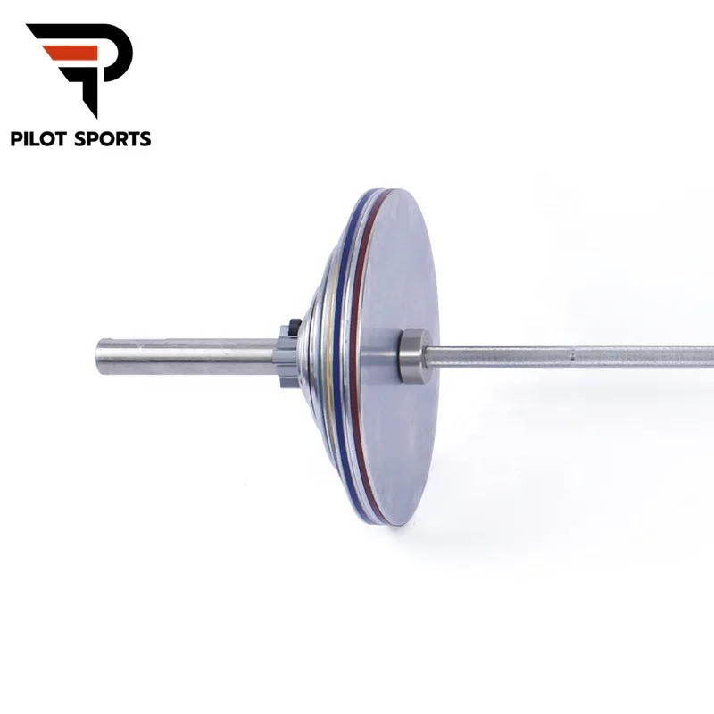 Pilot Sports 2 inch Chrome Powerlifting Plates Gym Equipment Steel Weight Plate for Deadlifting Calibrated Weight Plate