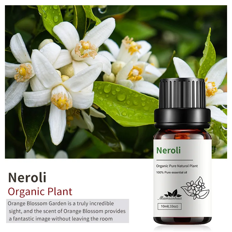 0.33oz 10ml Premium Grade Natural Organic Essential Oil Skin Care Aroma Diffuser Massage Reed Diffuser Oils Bulk Pure Oils