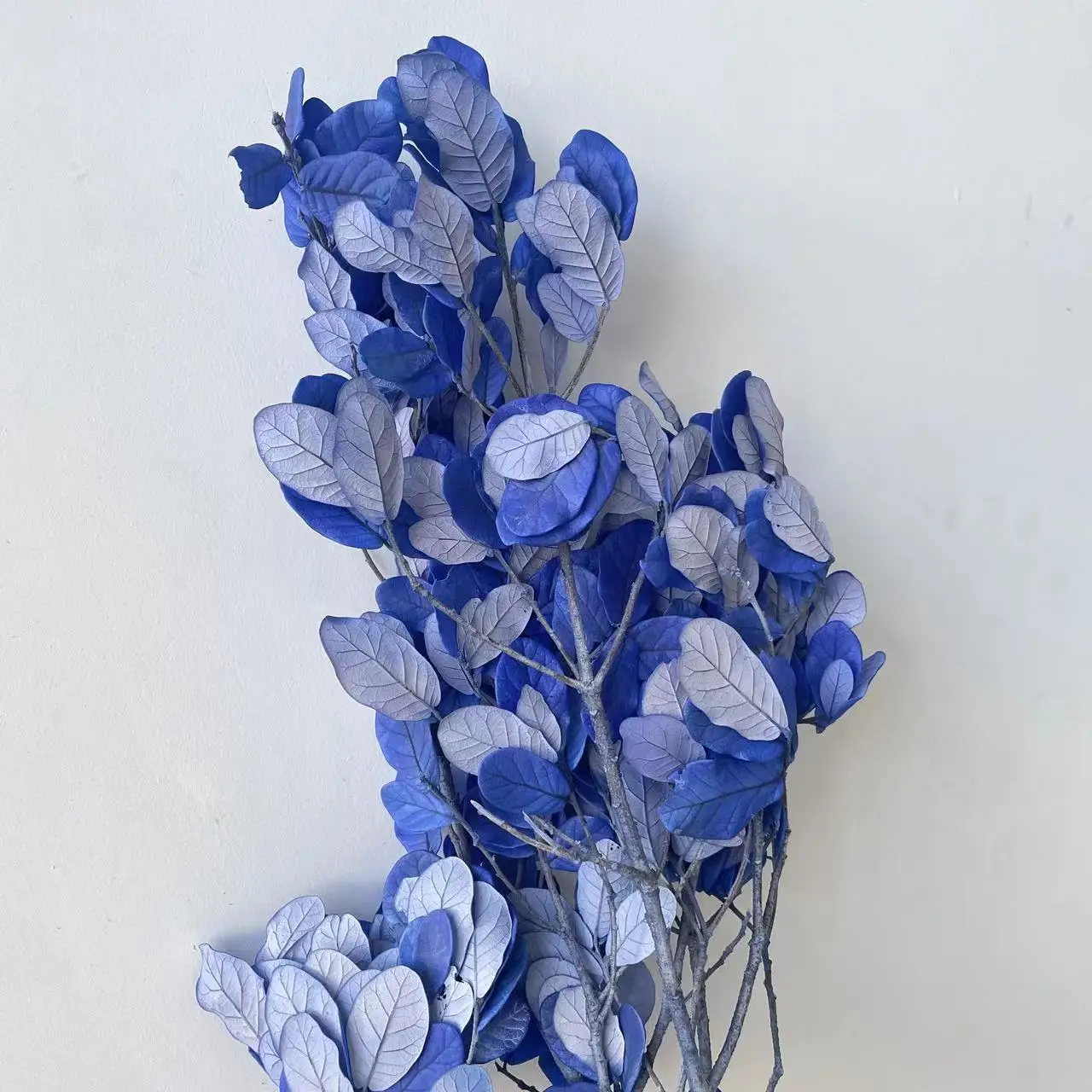 Factory directly wholesale preserved plants handmade leaves materials dried flower for wedding decoration