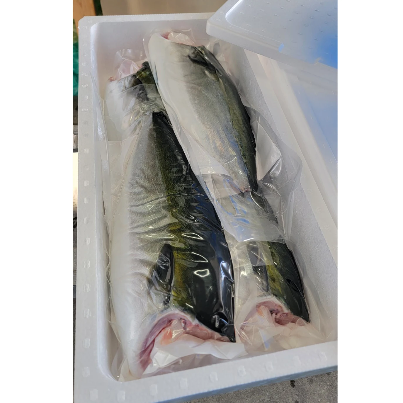 Good-taste processed fish fillet Japanese fresh seafood supplier