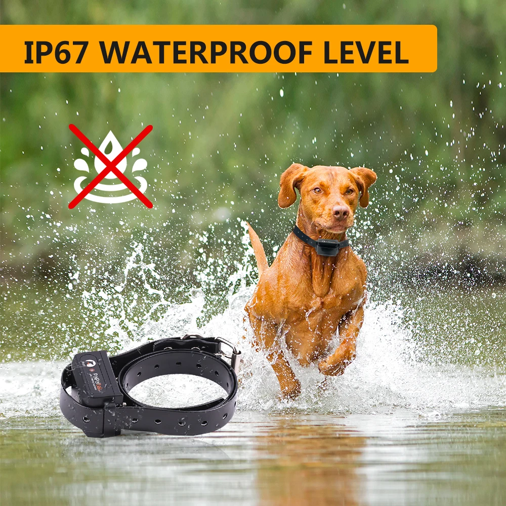 Amazon Top Seller Dog training collar 2-IN-1 Pet Beep Shock Vibration electric shocker dog collar rechargeable Waterproof