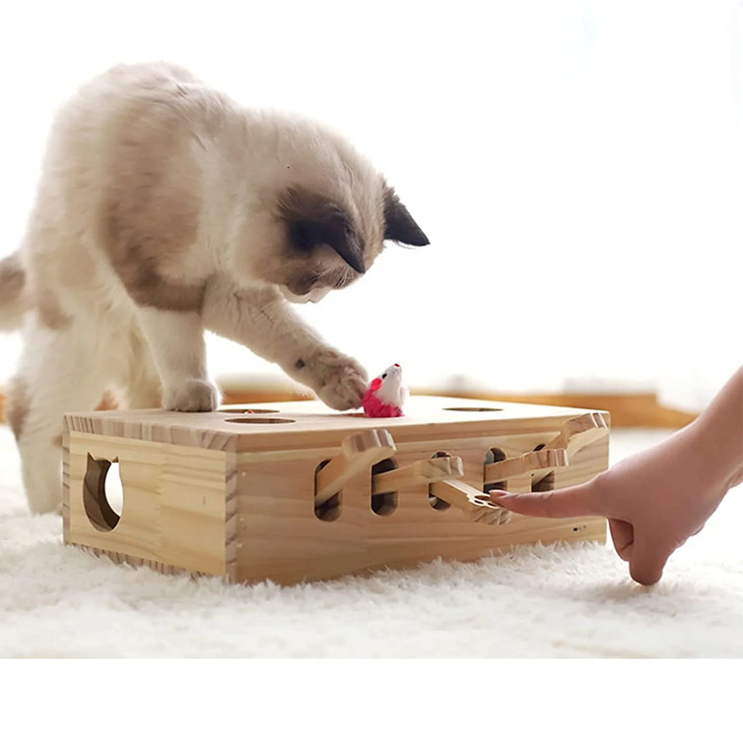 Cat Interactive Wooden Toys Whack a Mole Game Cat Punch for Indoor Play Box Hunt Toy Funny Kitten Safe Catnip Fun Box