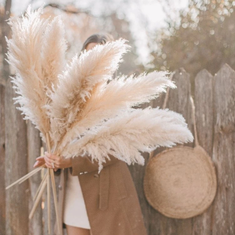 HFloral Hot Seller free sample Wholesale Natural Pampas Grass 48 inches large Pampas Grass as backdrop wedding decor