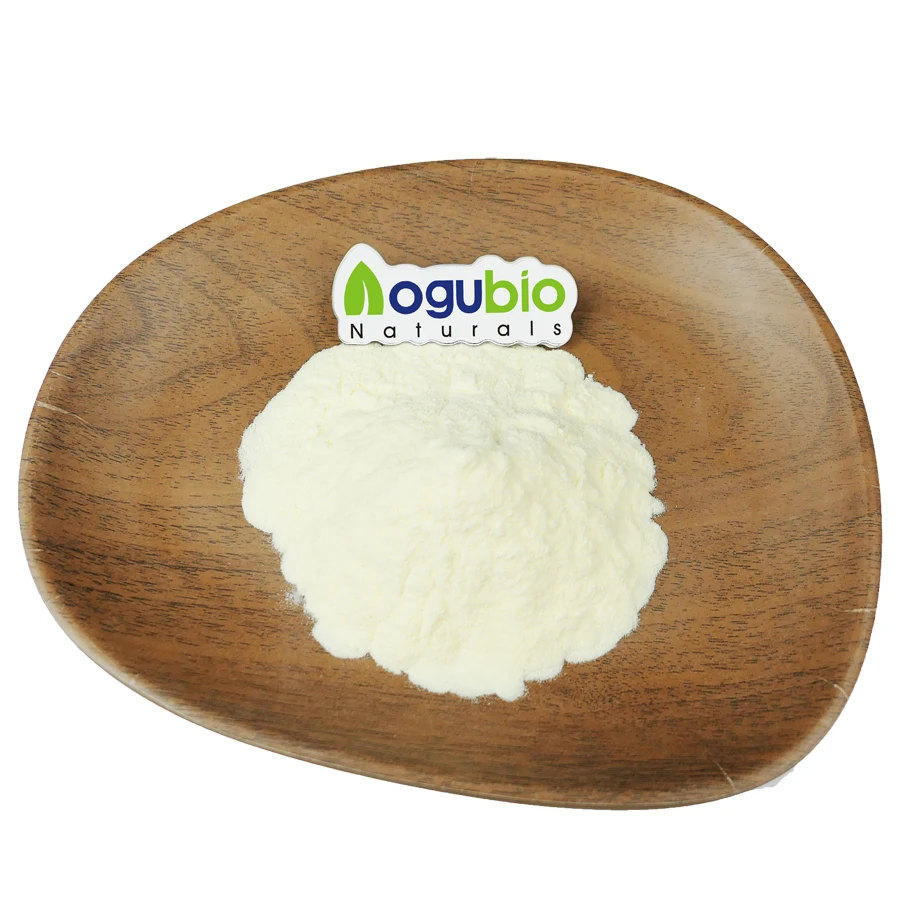 Oem Private Label Daily Superfood Plant Protein Organic Plant-Based Protein Powder/Nannochloropsis Protein Powder