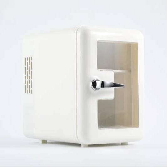 Custom 4L Hot And Cold Dual UseHome Room Hotel Car Small Fridge Transparent Portable Mini Refrigerator