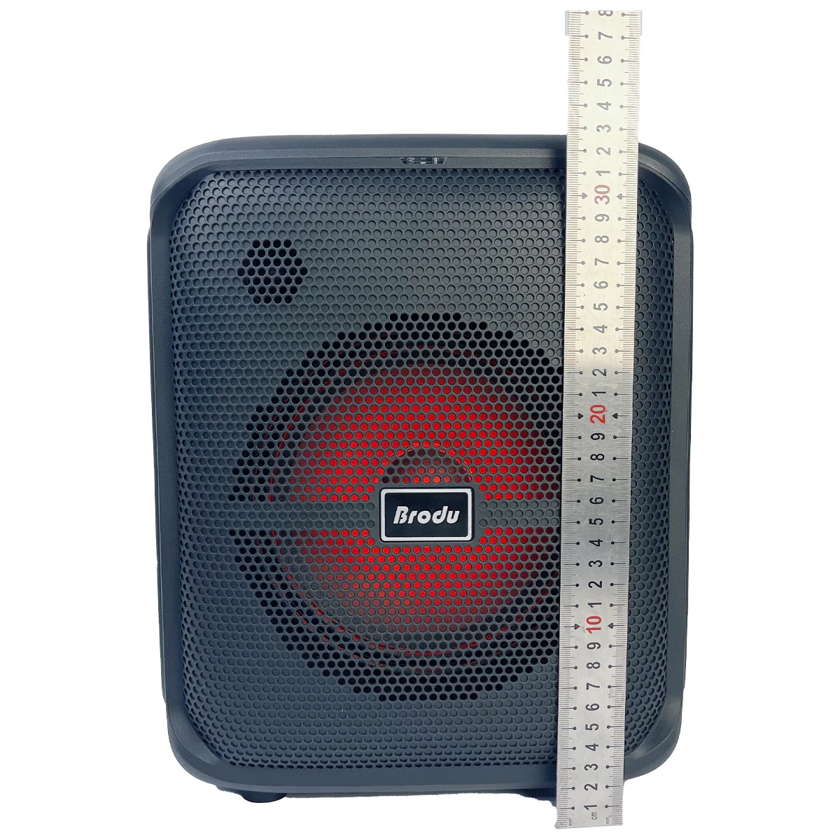 8 Inch 30W Band Full RadioPortability Wireless Kts Fm tereo Mini Sound Speaker Portable Radio Karaoke Microphones